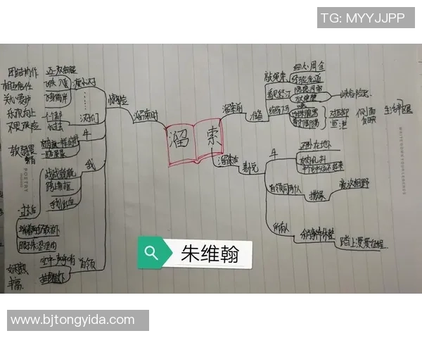 姚明的日语学习之路:从篮球场到语言课堂的成长与挑战 姚明的日语学习之路:从篮球场到语言课堂的成长与挑战